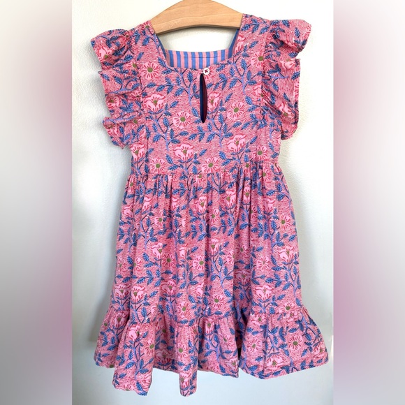 Pink Chicken NY 4Y Elsie Dress Ruffle Flutter Twirl Pink Blue Floral Ferns 4T - Picture 2 of 8